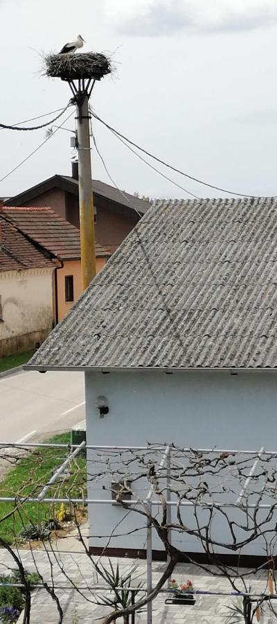 Villa Bela Golobica Bogojina Esterno foto