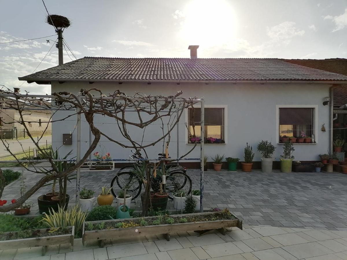 Villa Bela Golobica Bogojina Esterno foto